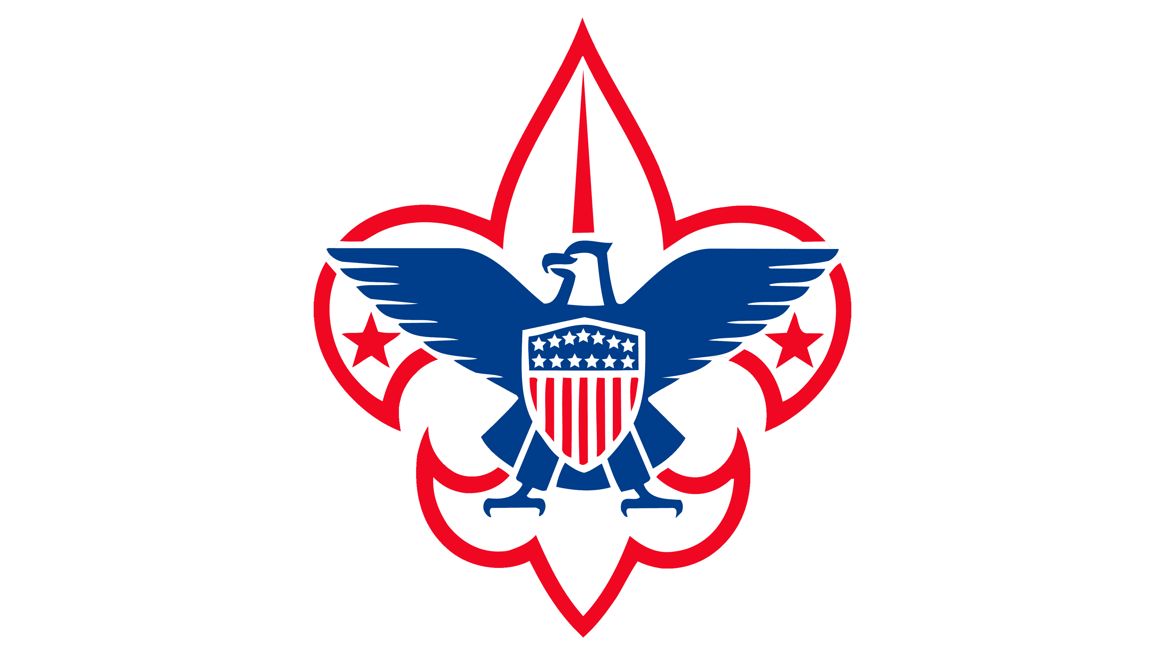 I've Got That Scouting Spirit!
